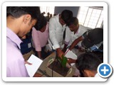 pcnndtcourseinindia