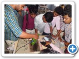 pcnndtcourseinkerala