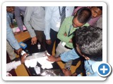 pcnndtinpondicherry