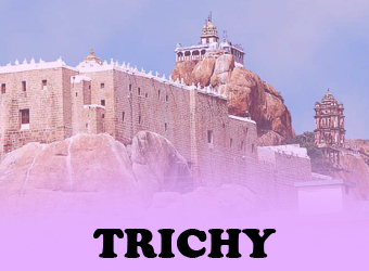 Alt Image Text