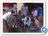 cswipcourseinbombay