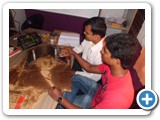 cswipinstituteinpune