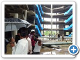 ndtinvizag